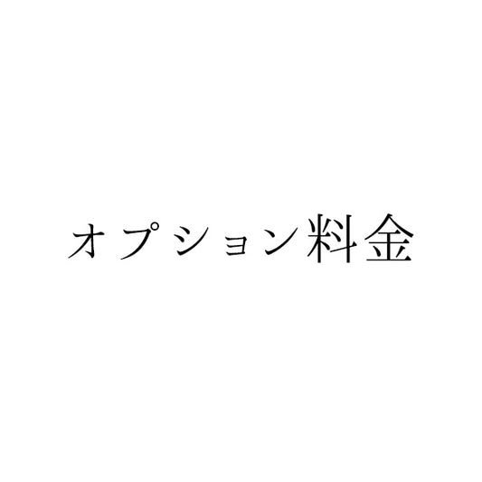 オプション料金